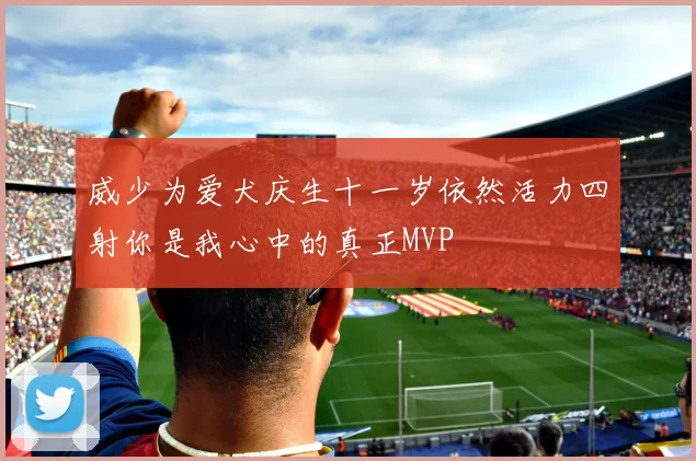 威少为爱犬庆生十一岁依然活力四射你是我心中的真正MVP